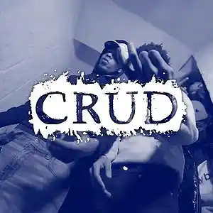 Picture for song 'Crud 150 BPM Prod Schiri Beats' by artist 'Schiri Beats'