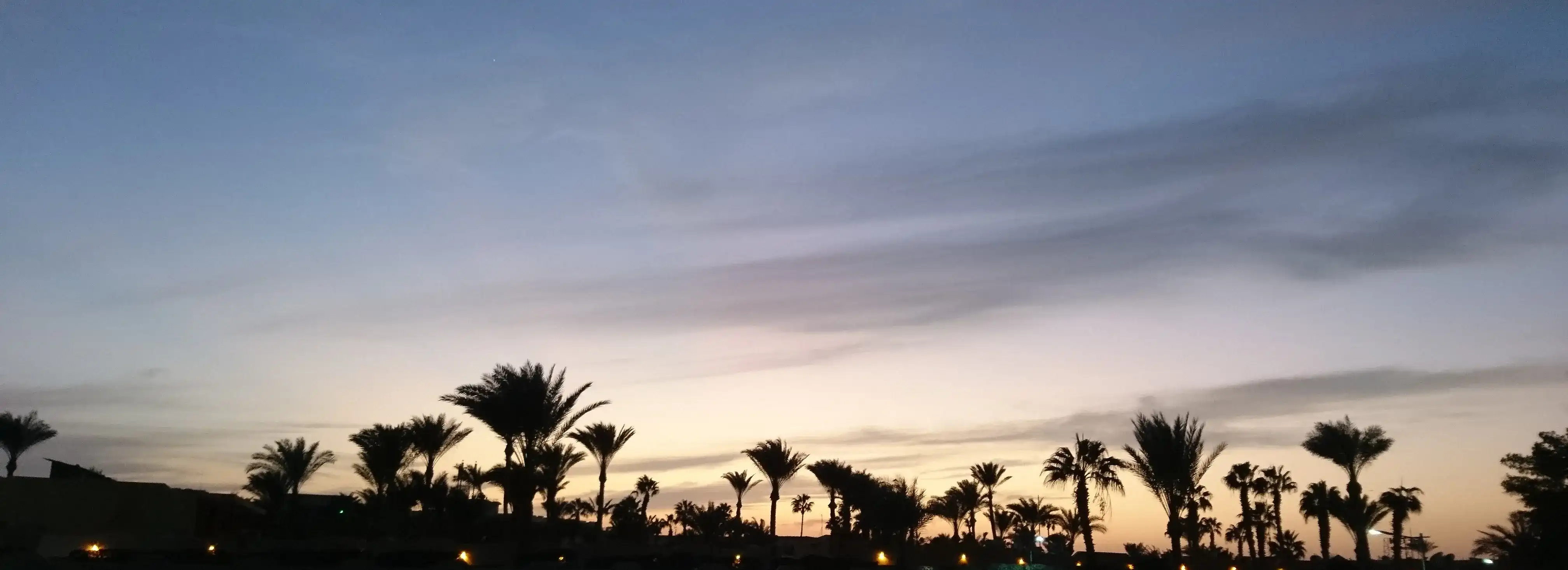 cover pic