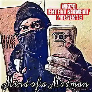 Picture for song 'Stick it in my face (Strip Club Music)' by artist 'BlackJamesBond'