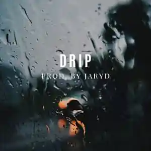 Picture for song 'Drip' by artist 'JarydAudio'