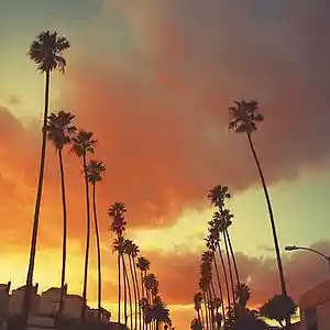 Picture for song 'Dream' by artist 'RelevantBeats90'