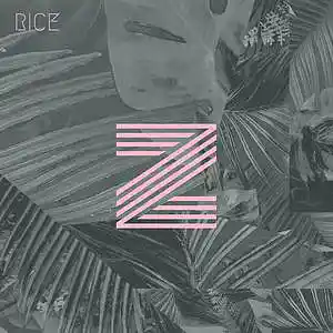 Picture for song 'Z' by artist 'RICE'