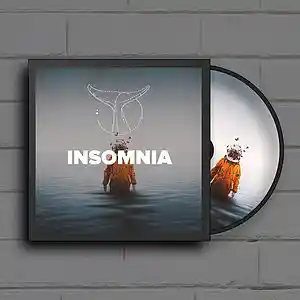 Picture for song 'Insomnia' by artist 'Whvle Sound'