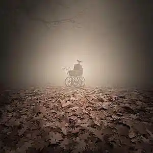Picture for song 'Compression' by artist 'Alexander Jenkins'