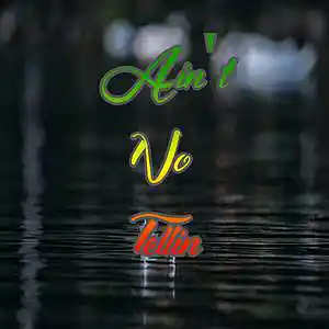 Picture for song 'Aint No Tellin-' by artist 'Anac On The Beat'
