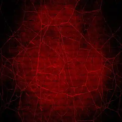 cover pic