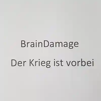 Picture for song 'BrainDamage - Der Krieg ist vorbei' by artist 'BrainDamage(Germany)'