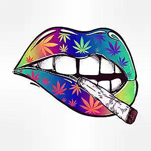 Picture for song 'Hippie Trap' by artist 'Bravo Tha BeatBuilder'