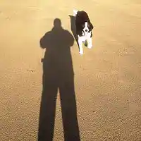 Picture for song 'Echo From The Past' by artist 'Hedgehog and Fraud'