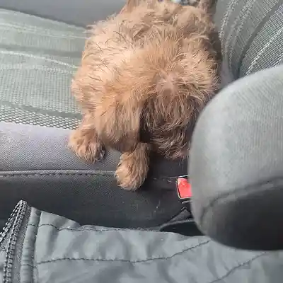 Picture for song 'No Happy Endings' by artist 'Jason Bibee'