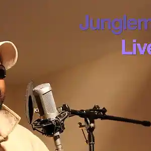 Picture for song 'Coming To You' by artist 'Jungleman Band'