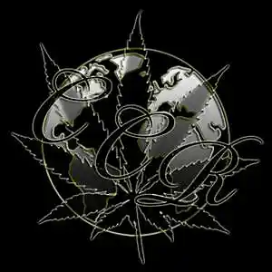 Picture for song 'Bizarre Feat Saca' by artist 'mAnIk CCR'