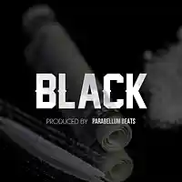 Picture for song 'Black' by artist 'Parabellum Beats'