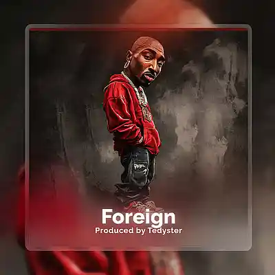 Picture for song 'Foreign - Rap x Guitar' by artist 'TEDYSTER'