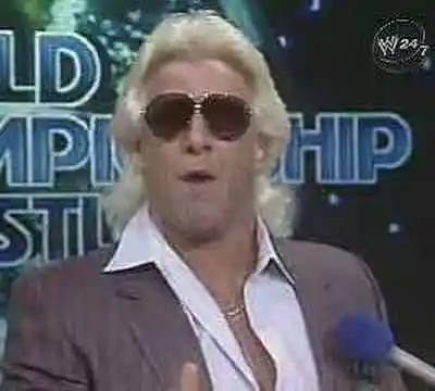 Picture for song 'You're Not Ric Flair - Pusha T & Leethalneedle' by artist 'ThaCook'