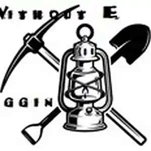 Picture for song 'DIGGIN' by artist 'WITHOUT E'