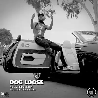 Picture for song 'DOG LOOSE [nipsey hussle, new school boom bap]' by artist 'Xan Brickz'