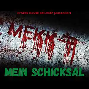 Picture for song 'MeKK-P - Mein Schicksal' by artist 'CrAcKk HoUsE ReCoRdZ'