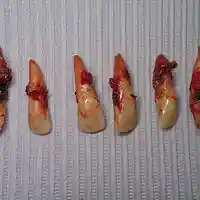 Picture for song 'Seeds of Falsehood' by artist 'JimRoss'