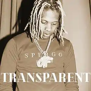 Picture for song 'Transparent x Lil Dirk Type Beat' by artist 'ProdBySoulEnt'