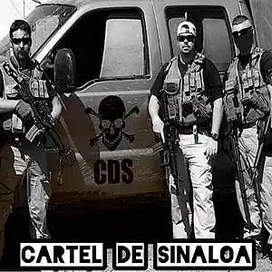 Picture for song 'Cartel de Sinaloa' by artist 'WESOUAFOOL'