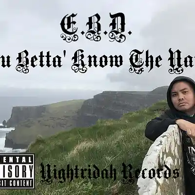 Picture for song 'E.B.D.- Won't be disillusioned' by artist 'NightRidah Records'