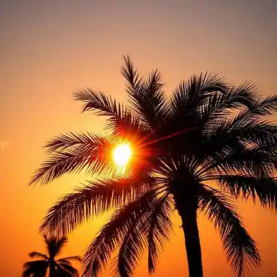 Song picture of 'Cant Hurt'