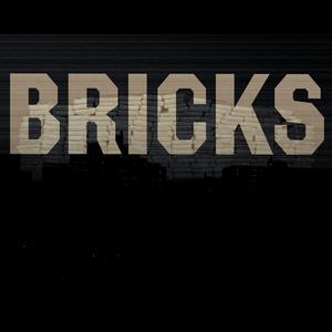 Picture for song 'BRICKS' by artist 'Bashiri Beat It'