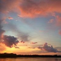 Picture for song 'Faded Rose ' by artist 'D B Hankinster'