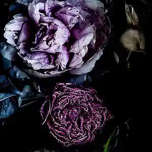 Picture for song 'TRAP/R&B 005 Grandmaster Kutta' by artist 'Dj Grandmaster Kutta'