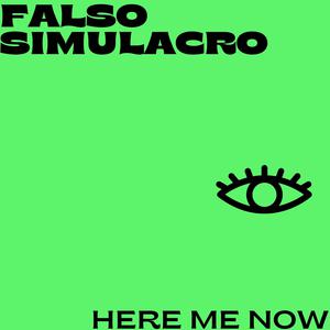Picture for song 'Here Me Now (Original Mix)' by artist 'Falso Simulacro'