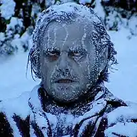 Picture for song 'too cold' by artist 'lil ponyboy'