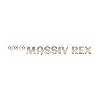 Picture for song 'REGGAE DANCE MYX BY MASSIV REX.mp3' by artist 'MASSIV REX'