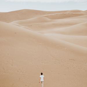 Picture for song 'Senses' by artist 'P.R Beats'