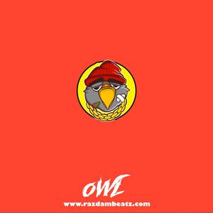 Picture for song 'OWL (BUY 1 GET 4 FREE)' by artist 'Razdam Beatz'