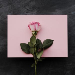 Picture for song 'Fake love' by artist 'ScarySoundBeatz'