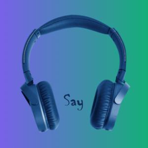 Picture for song 'Say' by artist 'Sean Ferree'