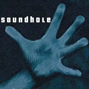 Picture for song 'The Fire' by artist 'soundhole'