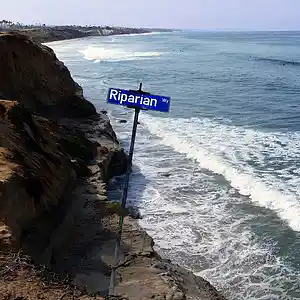 Picture for song 'Riparian Way - Steve Caustrita' by artist 'Steve S. Caustrita'