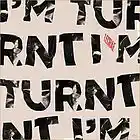 Picture for song 'I'm Turnt' by artist 'The Andron'