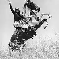 Picture for song 'Freds Lament ' by artist 'The Stray Dawgs'