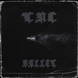 Picture for song 'Bullet' by artist 'TNC'