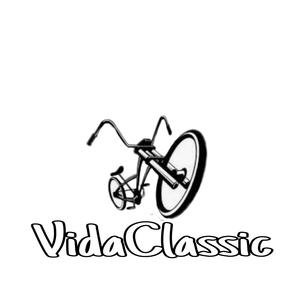 Picture for song 'troublemix' by artist 'Vida Classic'