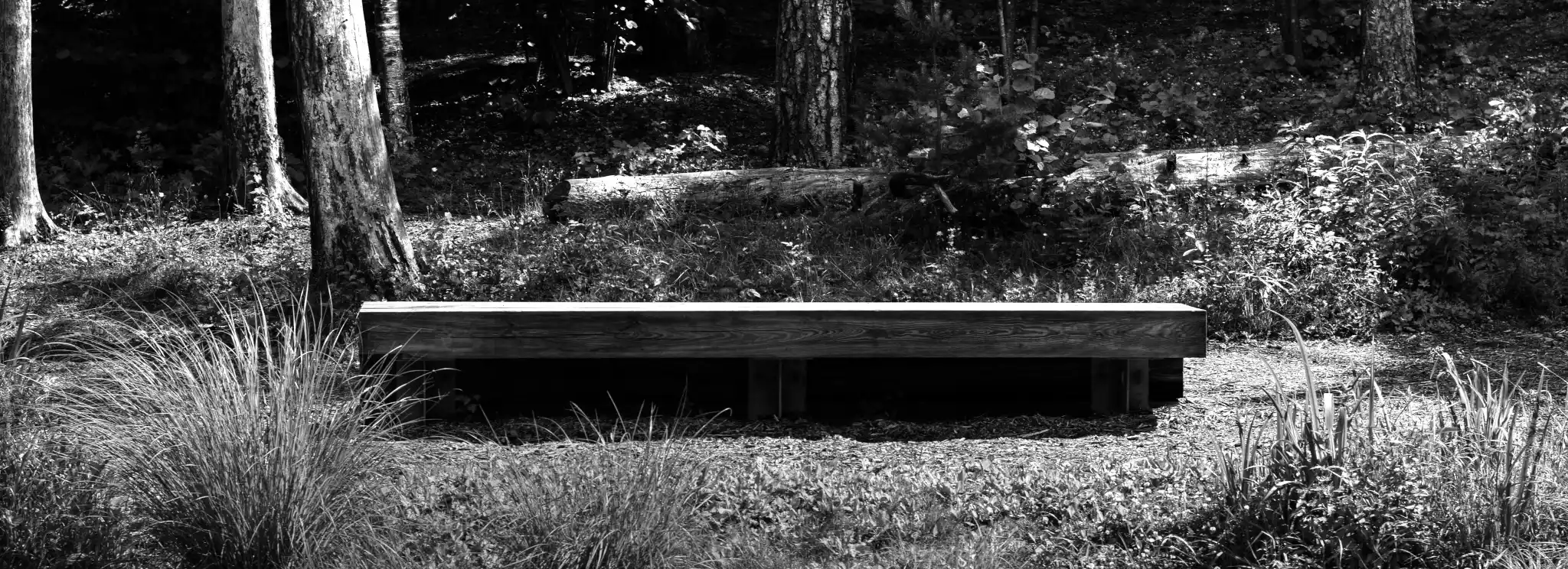 cover pic