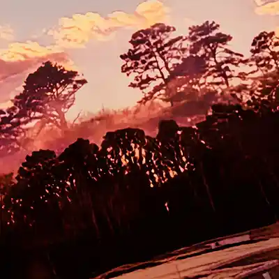 Picture for song 'ILTED 477' by artist 'Err0r'