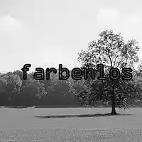 Picture for song 'LeDio - farbenlos' by artist 'LeDio'