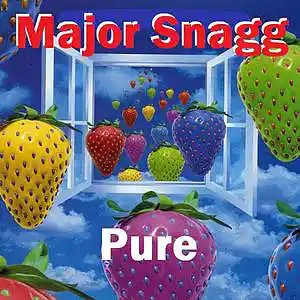 Picture for song 'Pure' by artist 'Major Snagg'