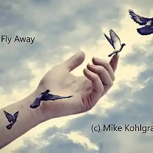 Song picture