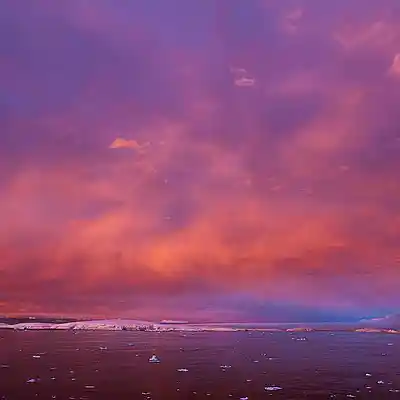 cover pic
