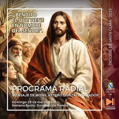 Picture for song 'Domingo de Ramos, 29 de marzo' by artist 'Producciones Vandor'